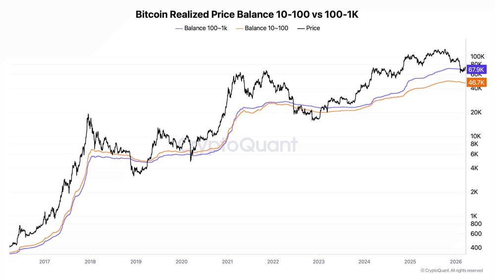 Bitcoin realized price balance 10-100 vs 100-1K.