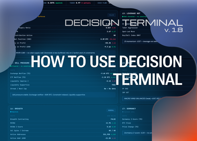How to Use Decision Terminal